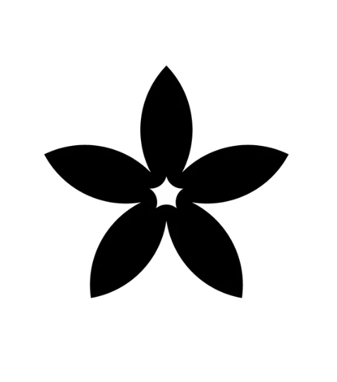 美美的游戏资讯站